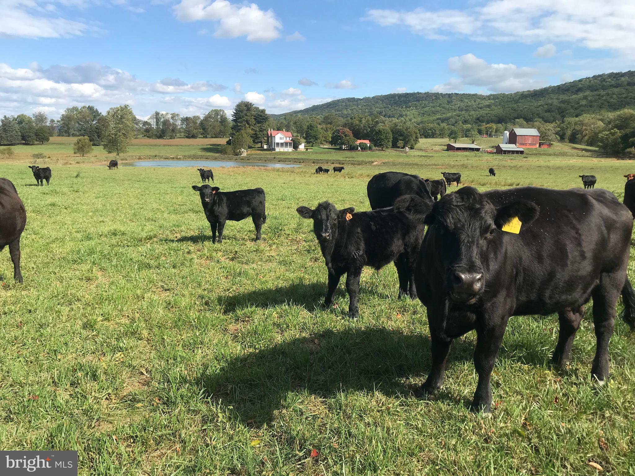 NEERSVILLE - Residential