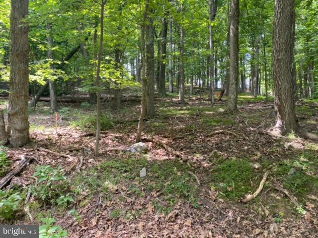 LAKE FOREST ESTATES - Land