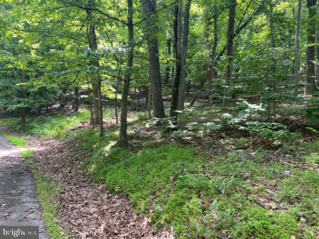 LAKE FOREST ESTATES - Land