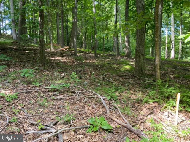 LAKE FOREST ESTATES - Land