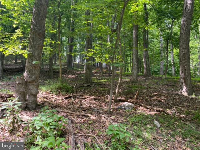 LAKE FOREST ESTATES - Land