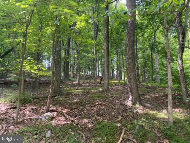 LAKE FOREST ESTATES - Land