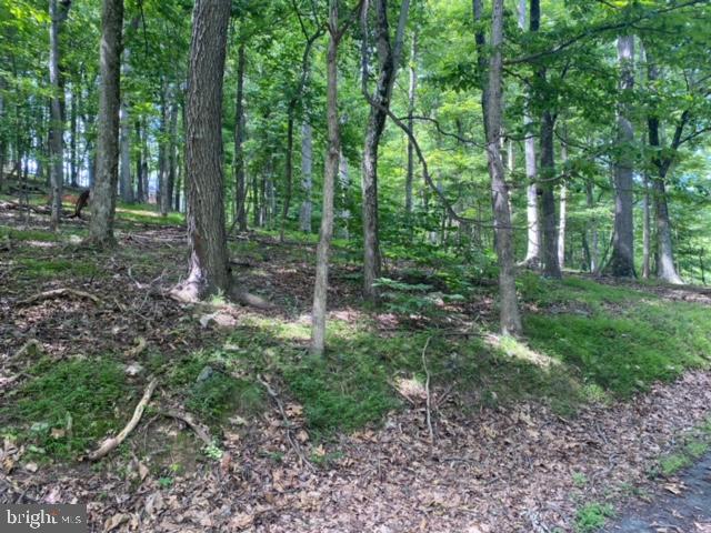 LAKE FOREST ESTATES - Land