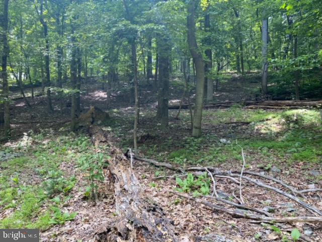 LAKE FOREST ESTATES - Land