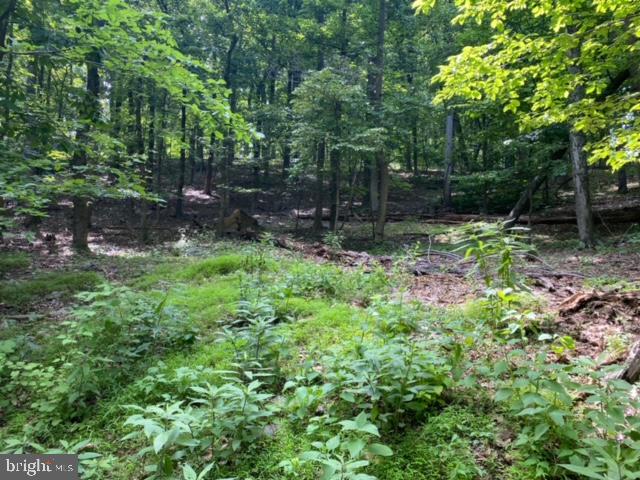 LAKE FOREST ESTATES - Land