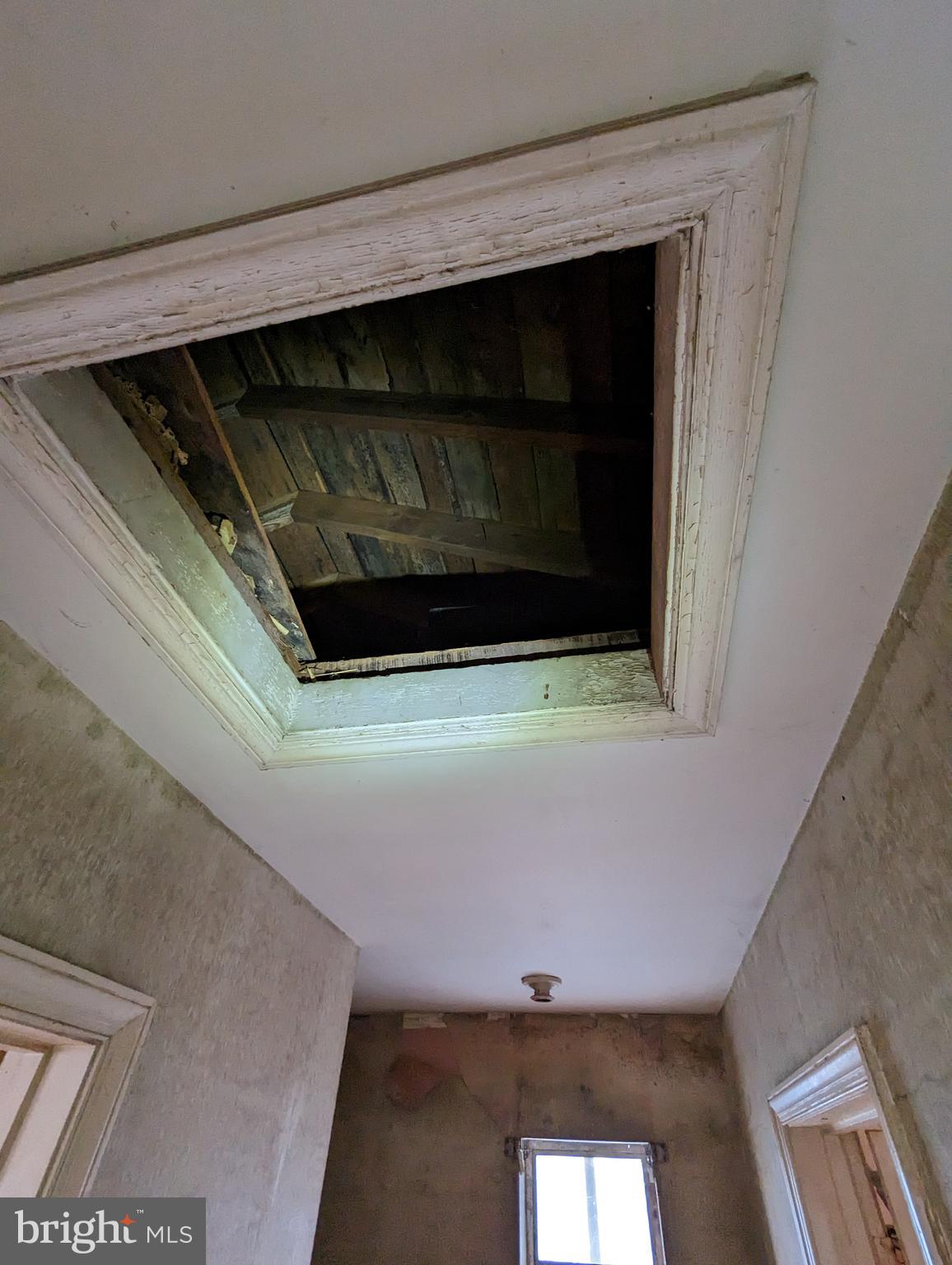 CAROLE HIGHLANDS - Residential