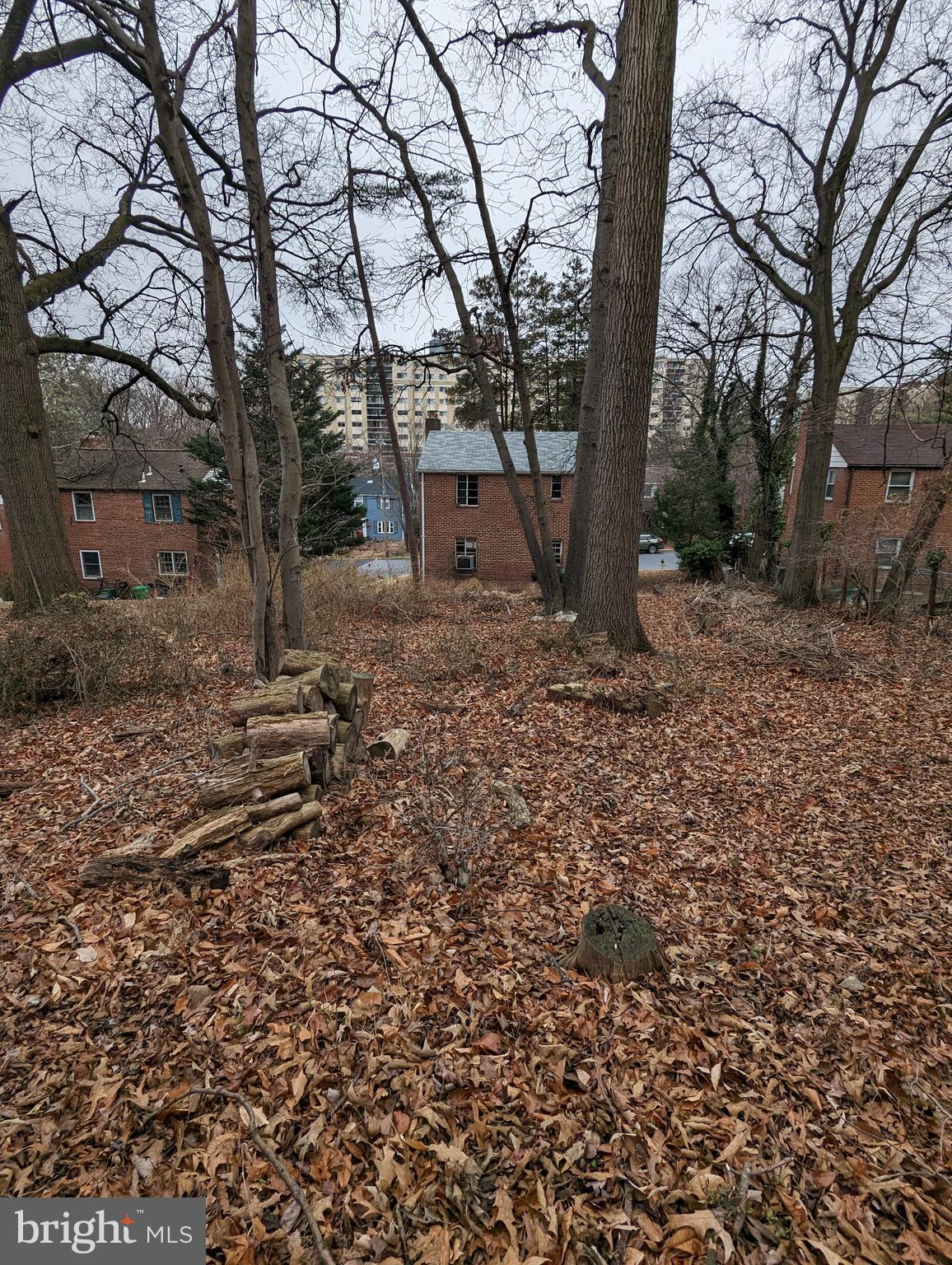 CAROLE HIGHLANDS - Residential