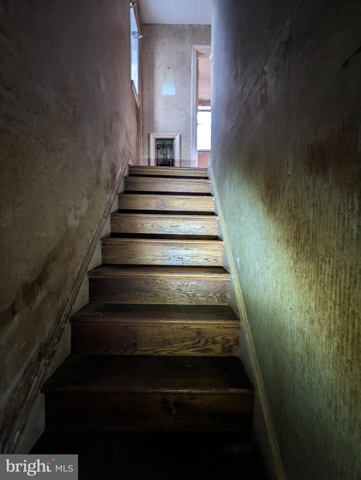 CAROLE HIGHLANDS - Residential