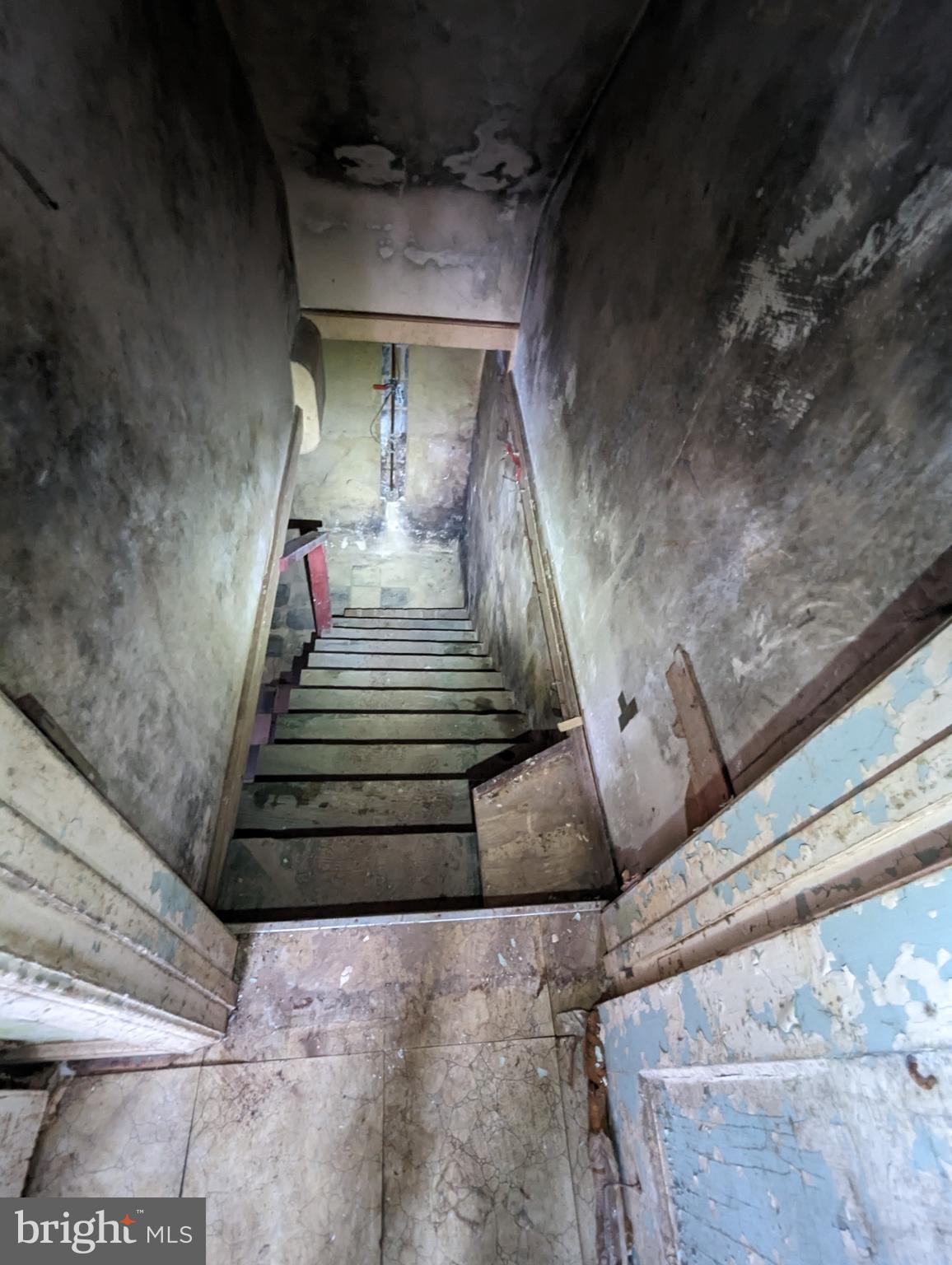 CAROLE HIGHLANDS - Residential