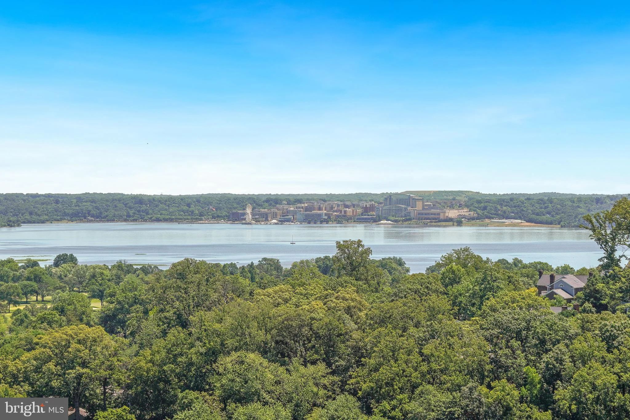 5904 Mount Eagle Drive Unit 1214