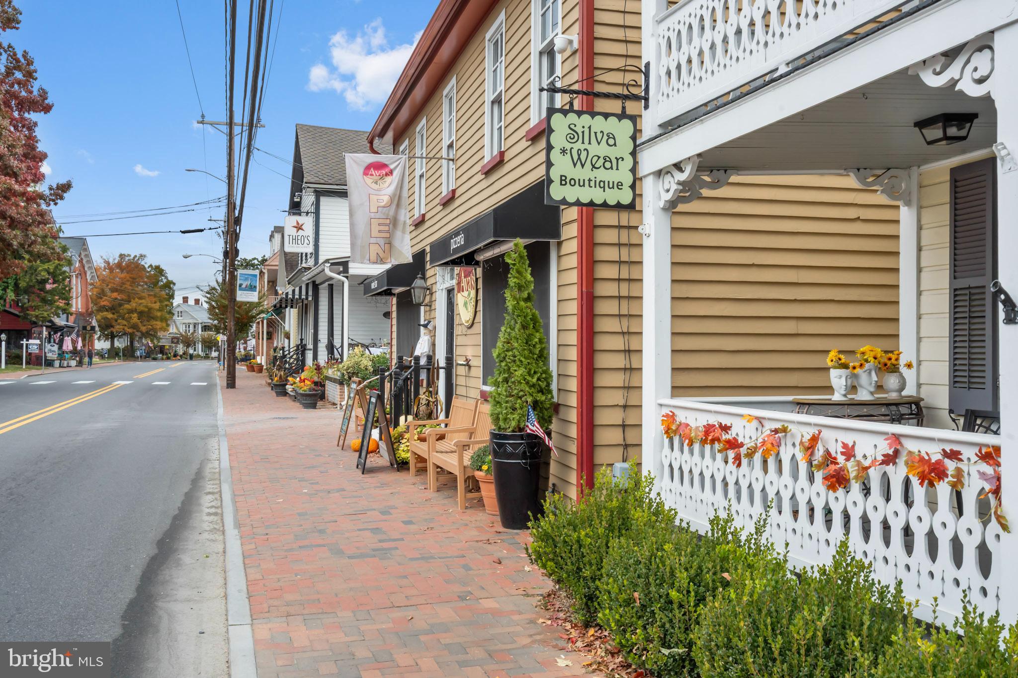 HISTORIC ST. MICHAELS - Commercial Sale