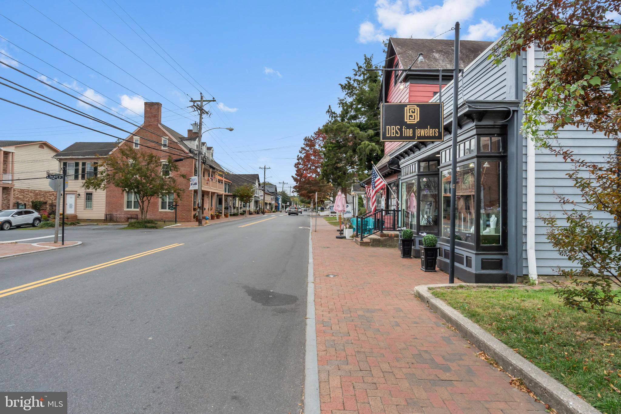 HISTORIC ST. MICHAELS - Commercial Sale