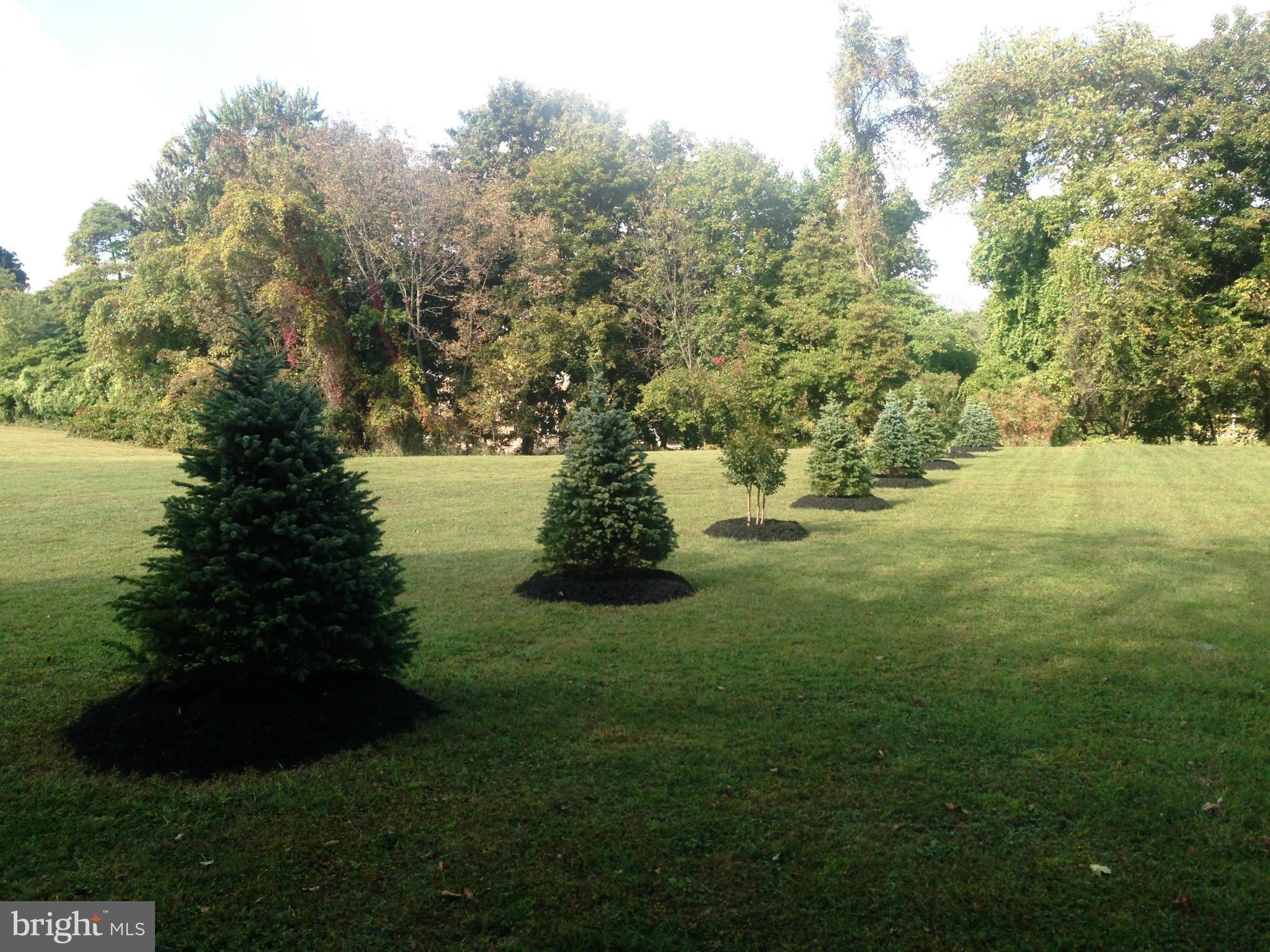 NONE AVAILABLE - Land