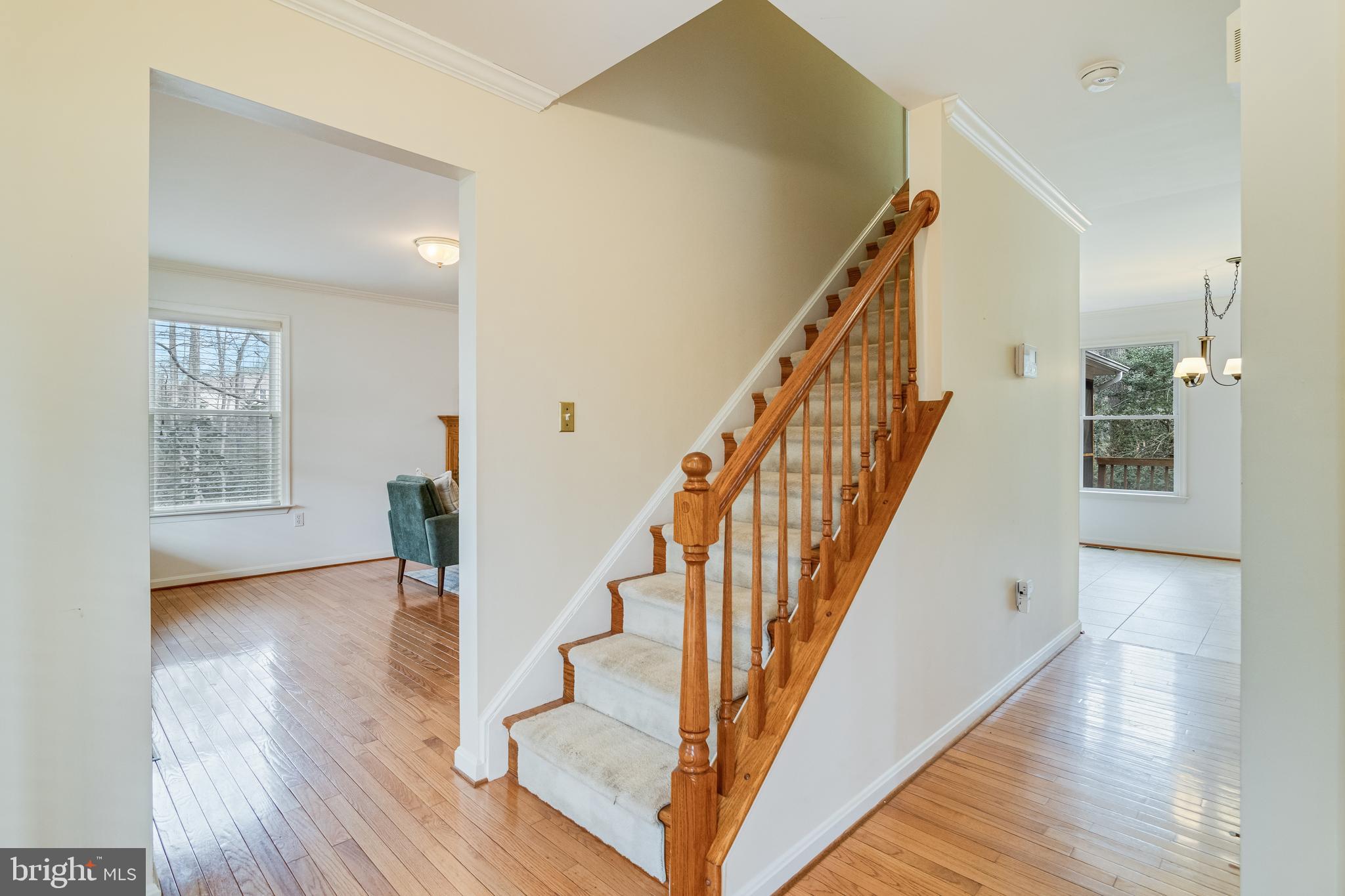 COVE POINT WOODS - Residential