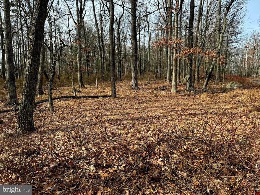 Nestled amidst the breathtaking landscapes of West Virginia lies a pristine 20.47-acre sanctuary, a true gem just a short 10-minute drive from the Virginia border and less than two hours from the bustling beltway. Offering an unrivaled opportunity to immerse oneself in the natural wonders of West Virginia, this expansive property presents a haven for both outdoor enthusiasts and those seeking tranquility. With its prime location just outside the quaint town of Capon Bridge, residents enjoy the perfect balance of seclusion and accessibility. Imagine waking up to the majestic sunrise views from the idyllic vantage point of this property, where the beauty of the rolling hills is surpassed only by the boundless opportunities for hunting, recreation, and exploration. Whether you long for a retreat from the hustle and bustle of city life or seek a playground for adventure, this slice of West Virginia gold promises to fulfill every dream. Don't miss your chance to claim your piece of paradise!