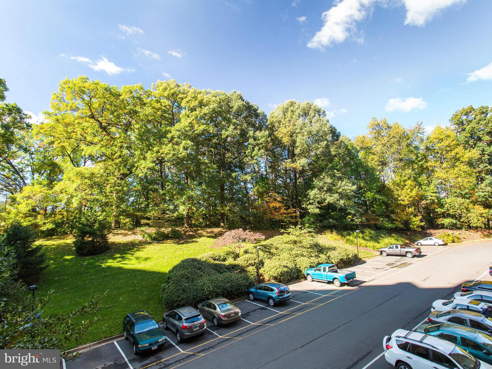 WATERGATE AT LANDMARK - Residential