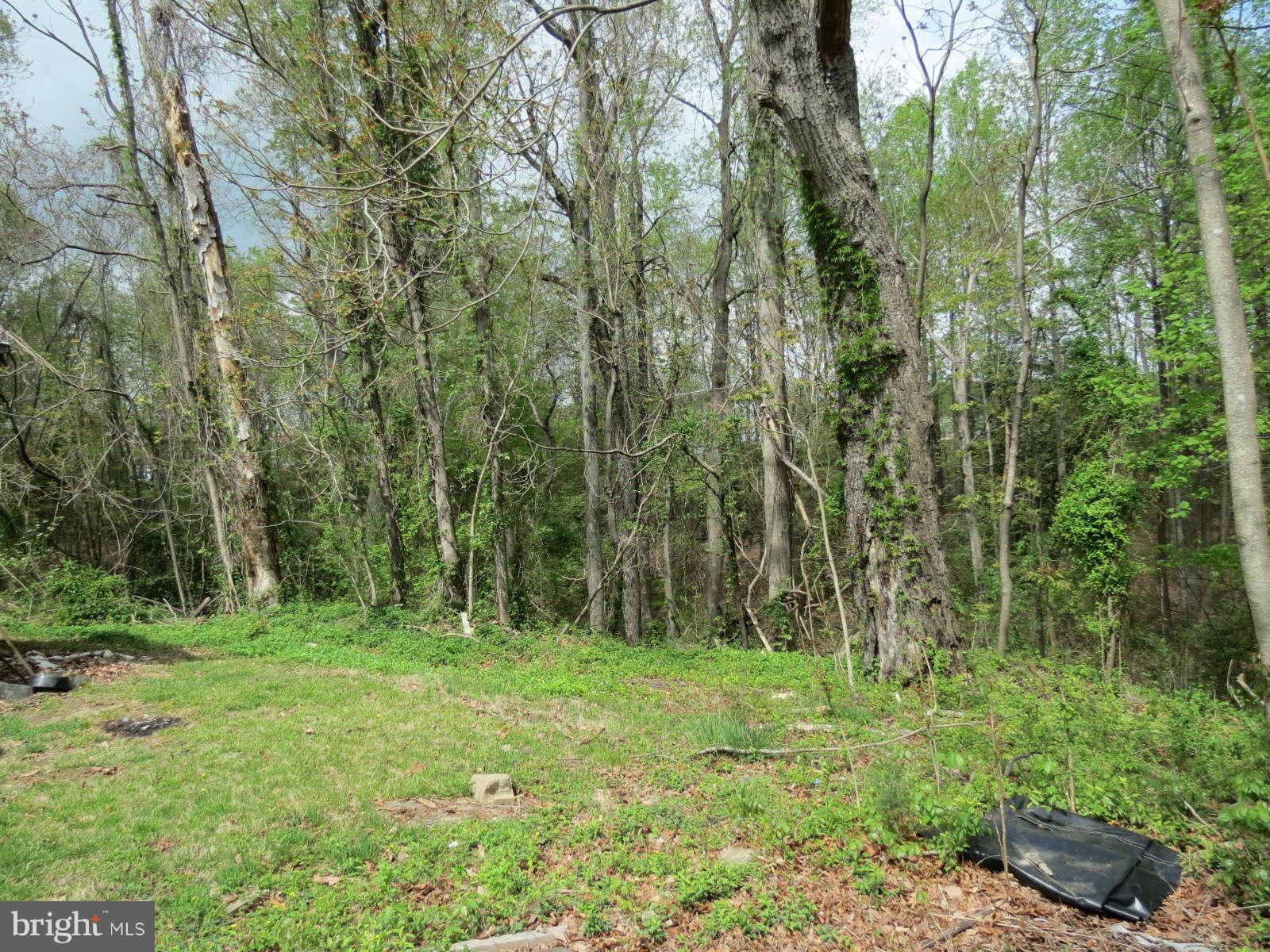 NONE AVAILABLE - Land