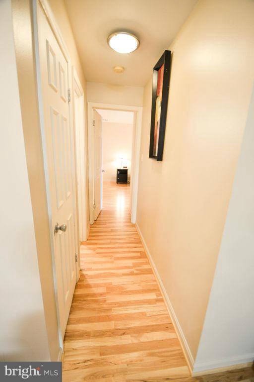 ESSEX HOUSE - Residential Lease