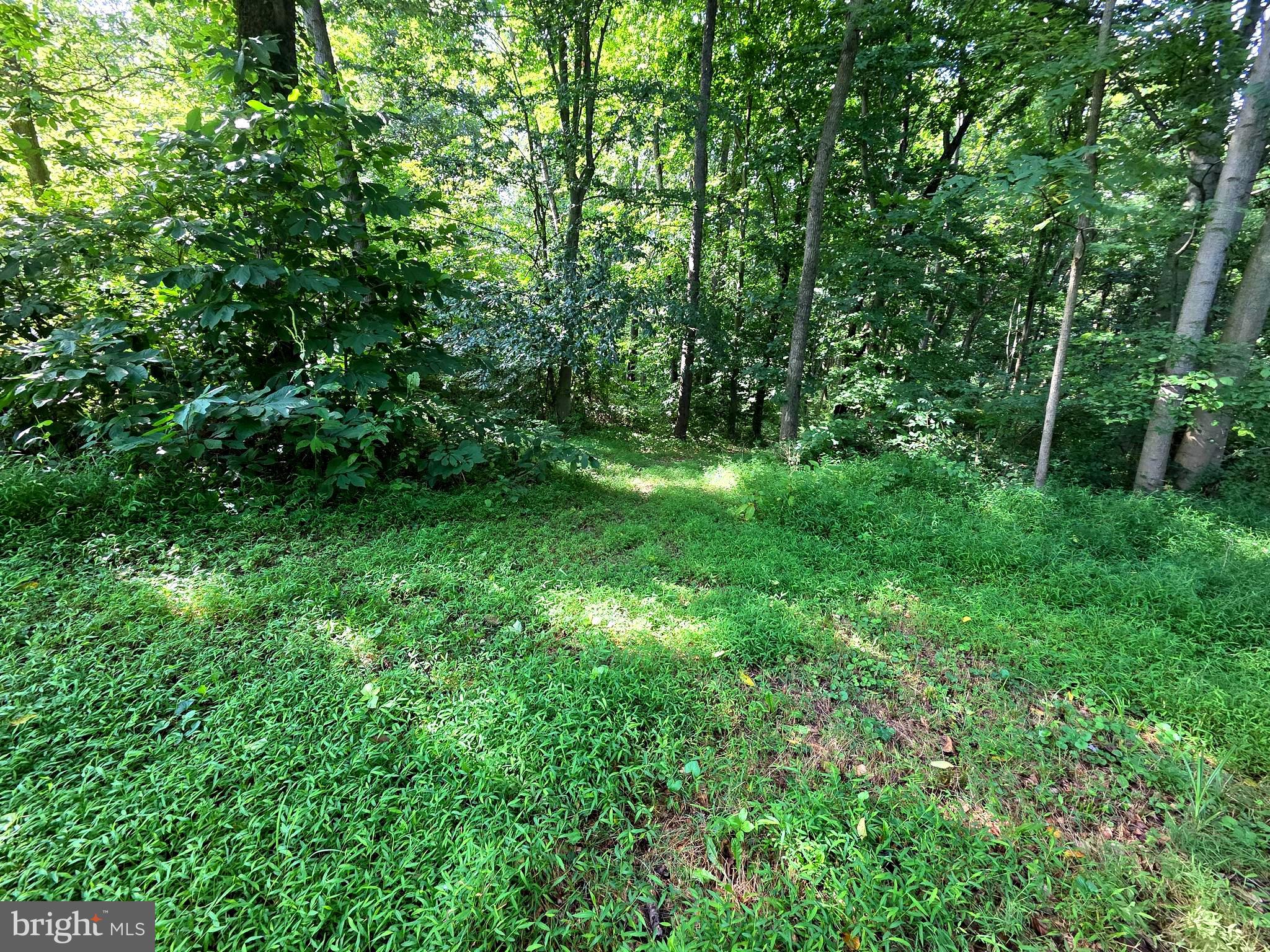 3500 HAWKS HILL ROAD LOT# 2