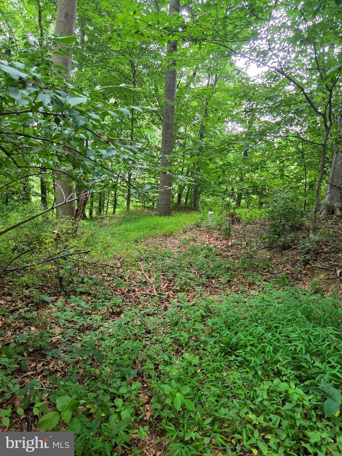 3500 HAWKS HILL ROAD LOT# 2