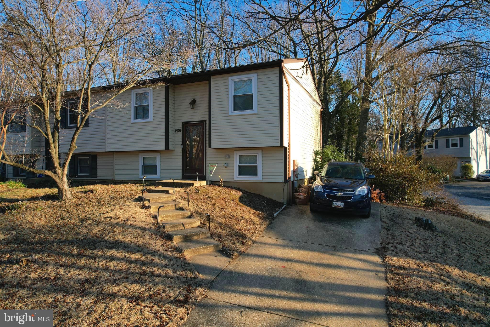 BRIGHTLEAF - Residential