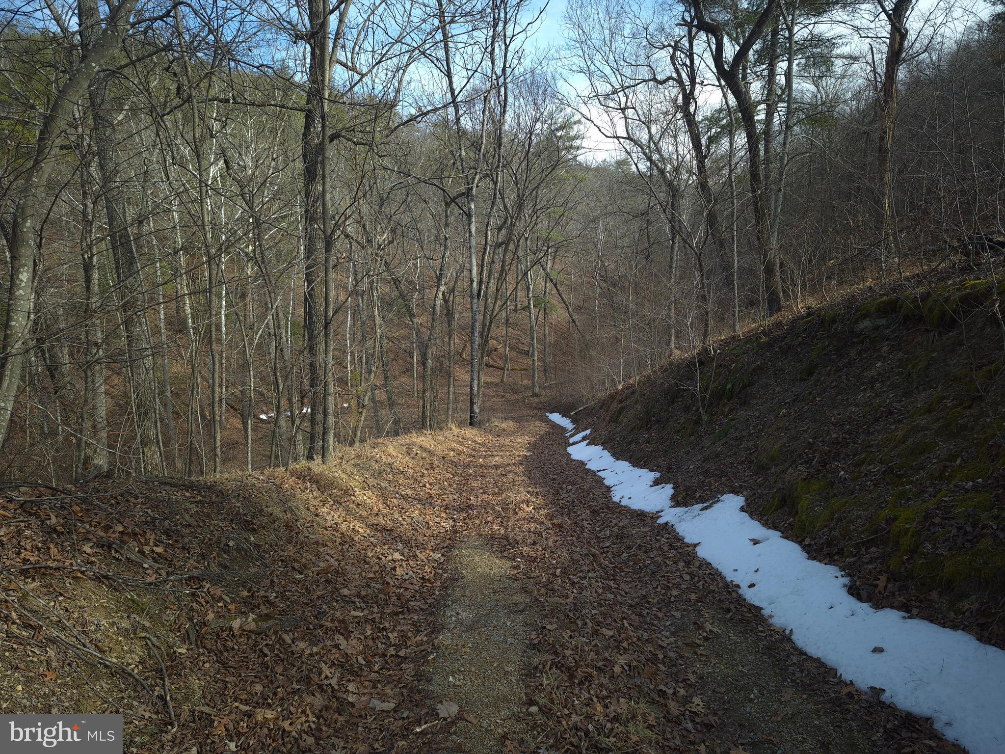 BACK CREEK HEIGHTS - Land