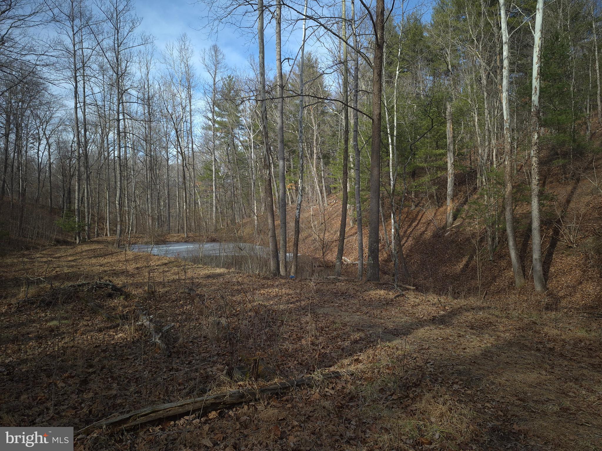 BACK CREEK HEIGHTS - Land