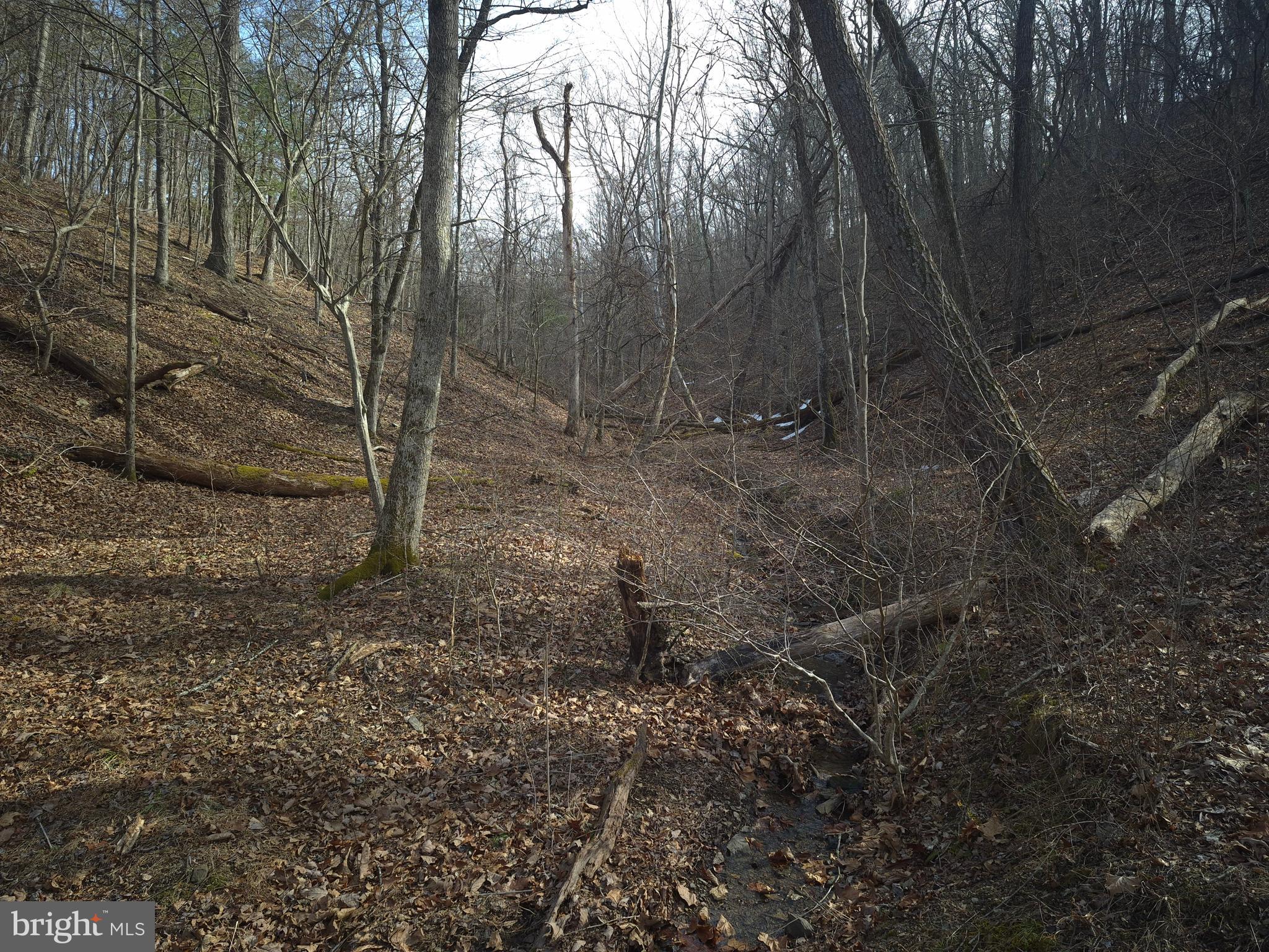 BACK CREEK HEIGHTS - Land