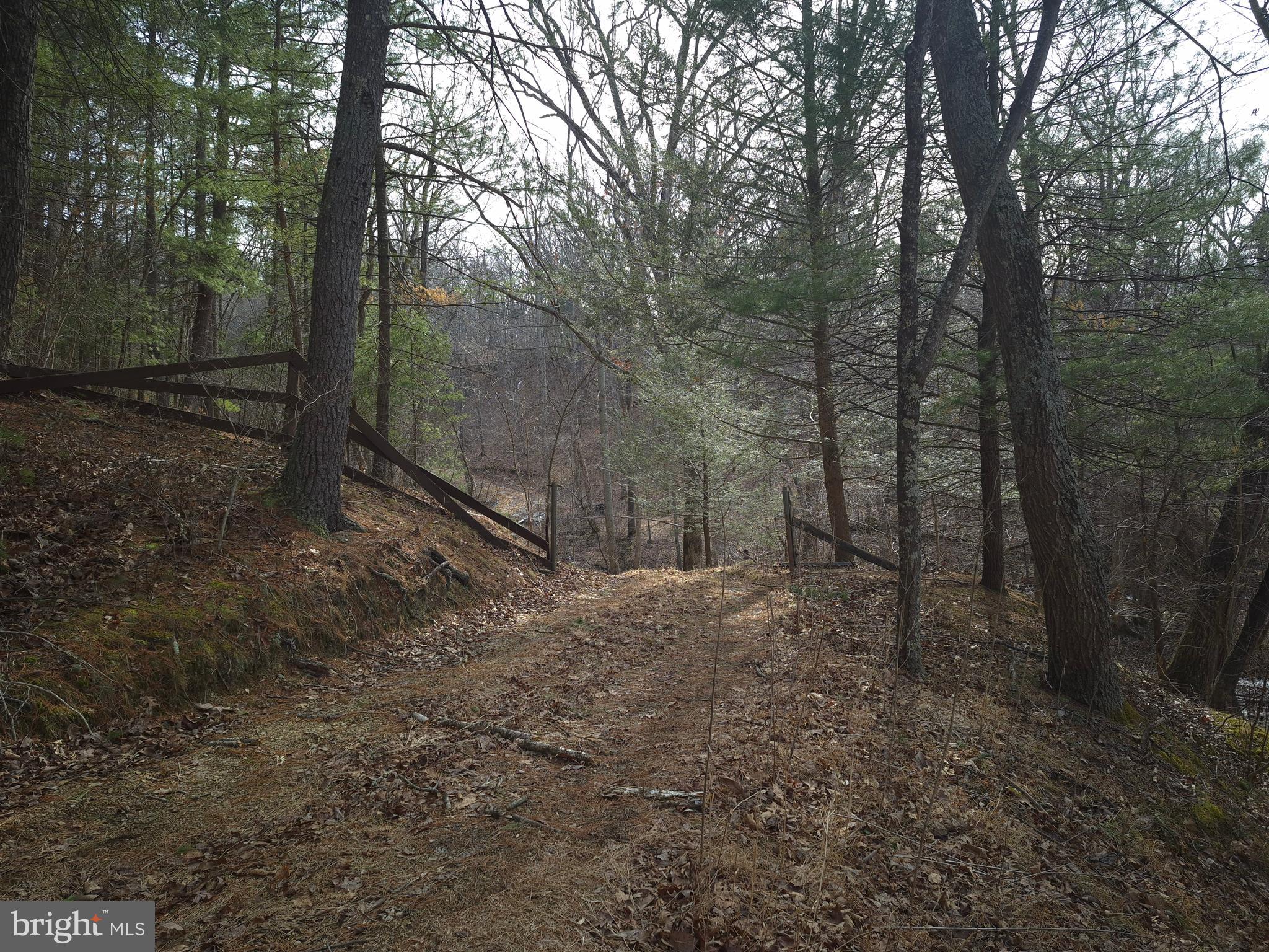 BACK CREEK HEIGHTS - Land