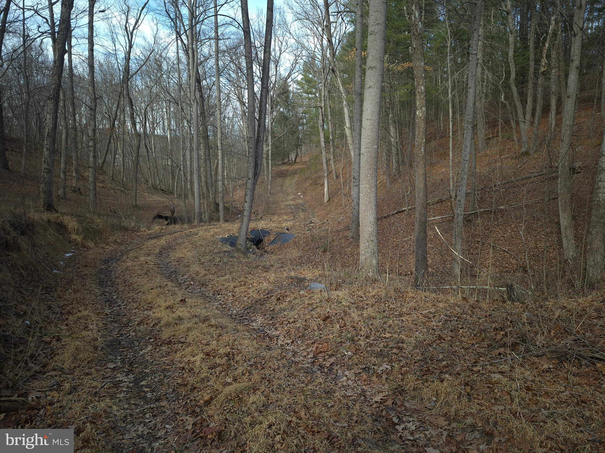 BACK CREEK HEIGHTS - Land