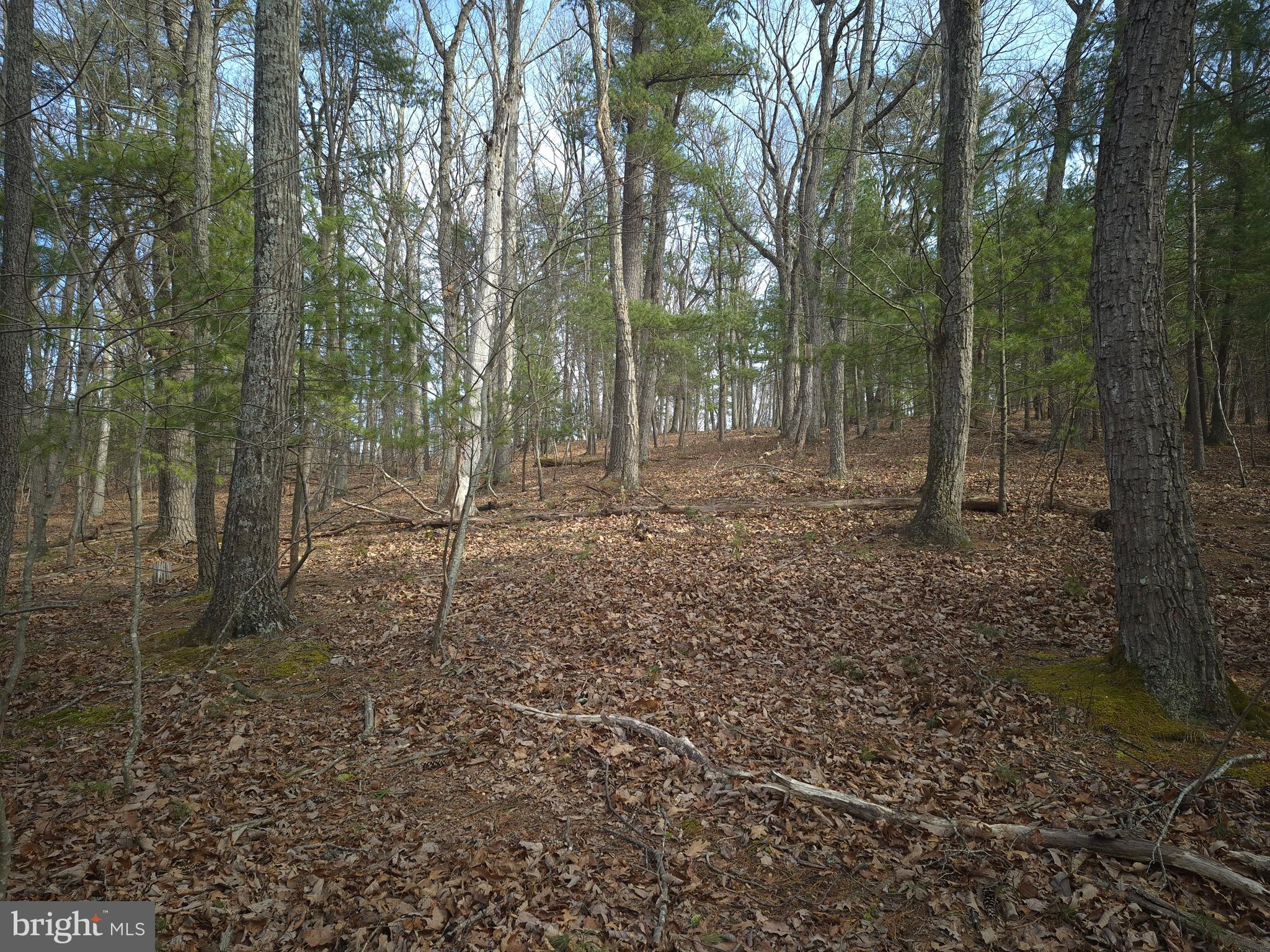 BACK CREEK HEIGHTS - Land