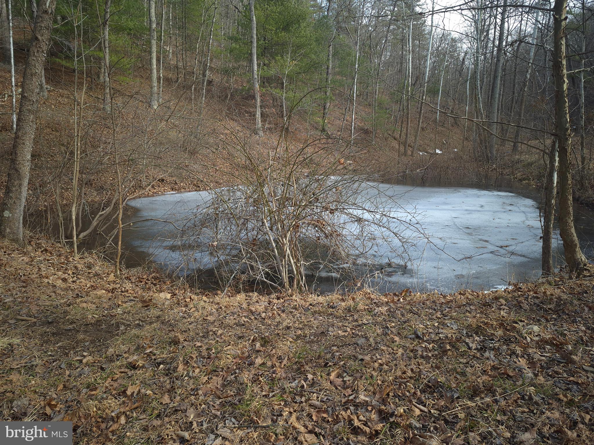 BACK CREEK HEIGHTS - Land