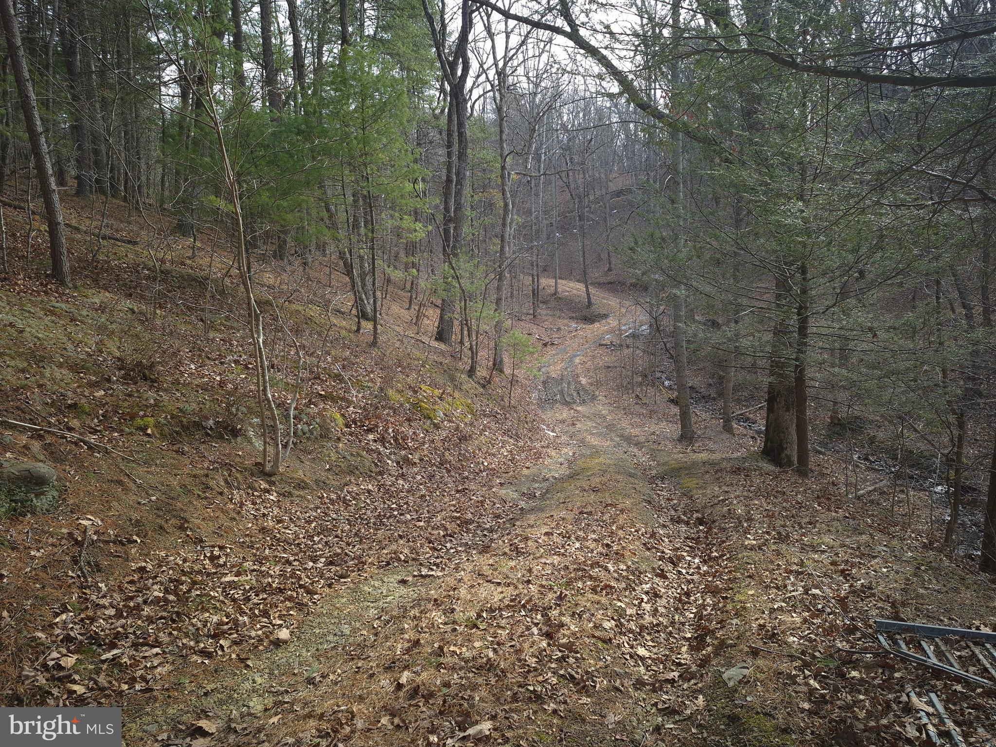 BACK CREEK HEIGHTS - Land