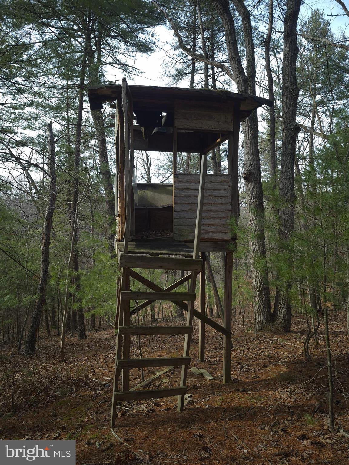 BACK CREEK HEIGHTS - Land