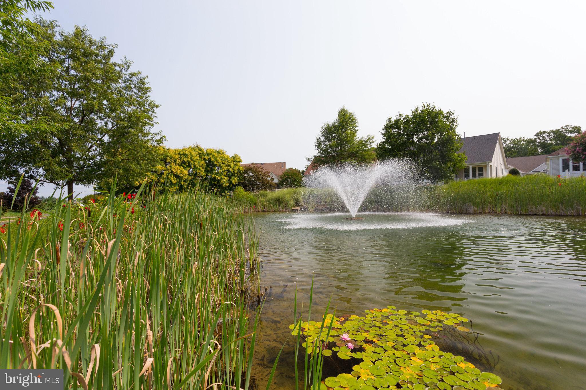 HERITAGE HUNT - Residential