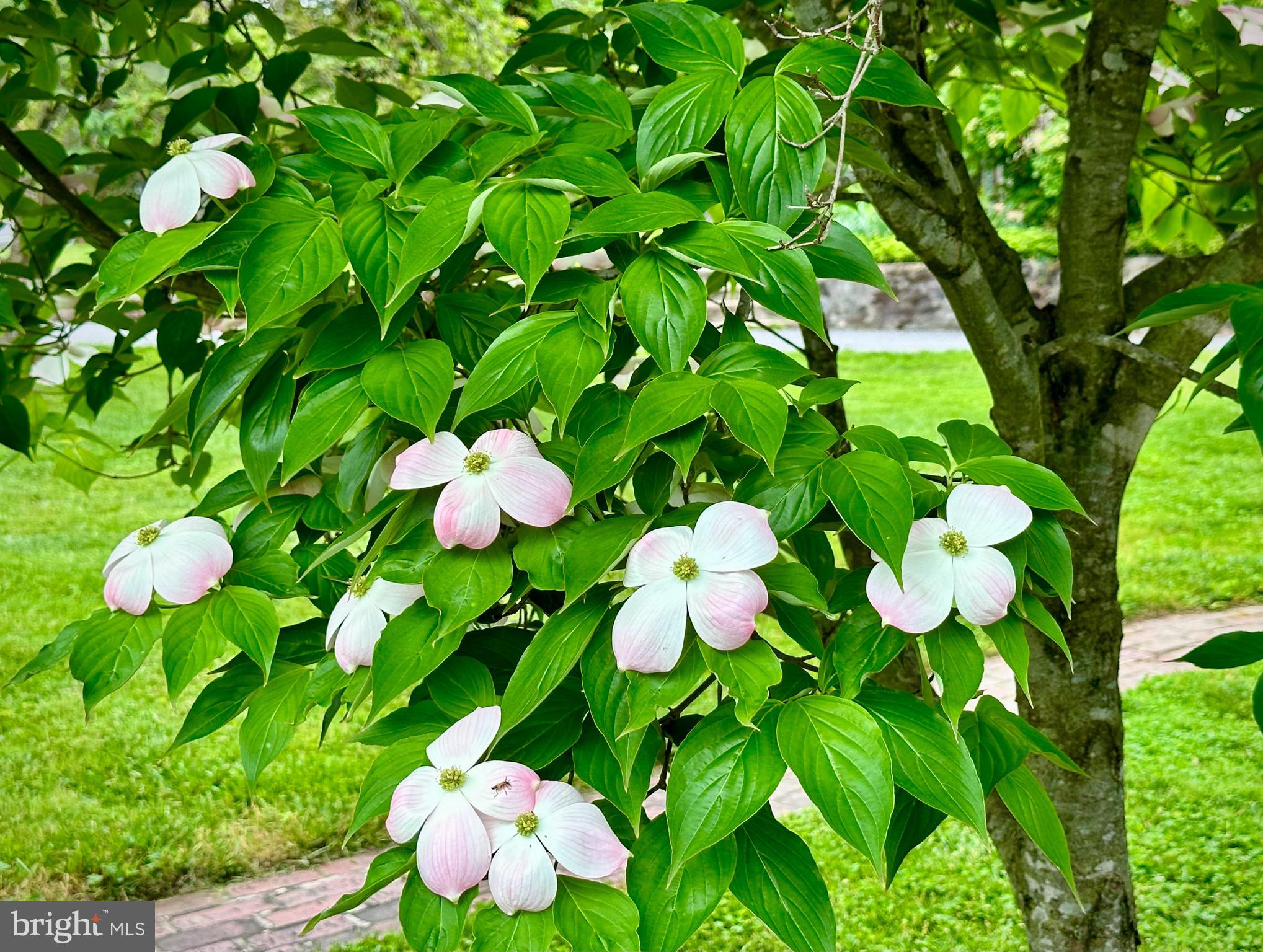 GLYNDON - Residential