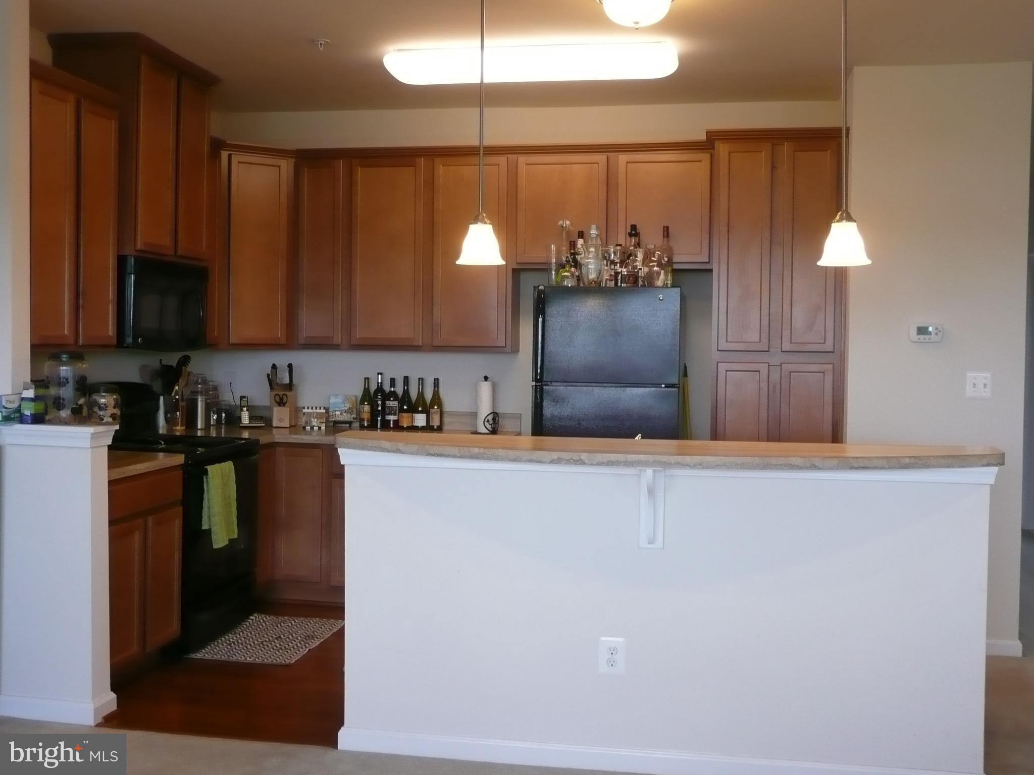 ARCOLA TOWN CENTER CONDO - Residential Lease