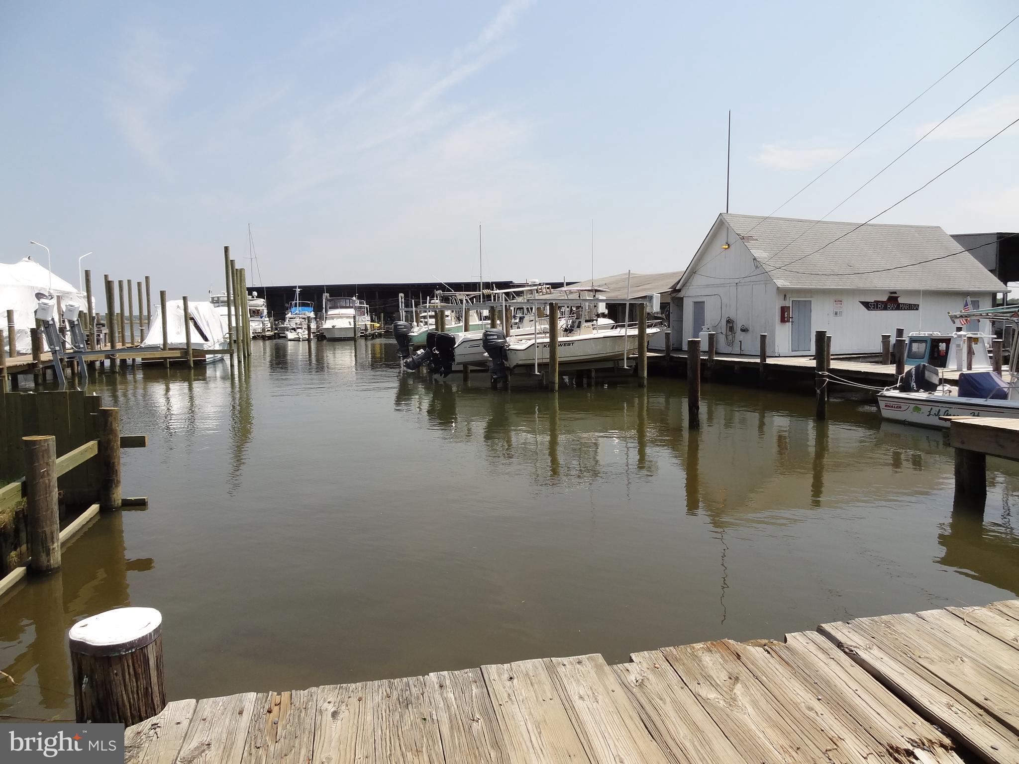 SELBY ON THE BAY - Residential