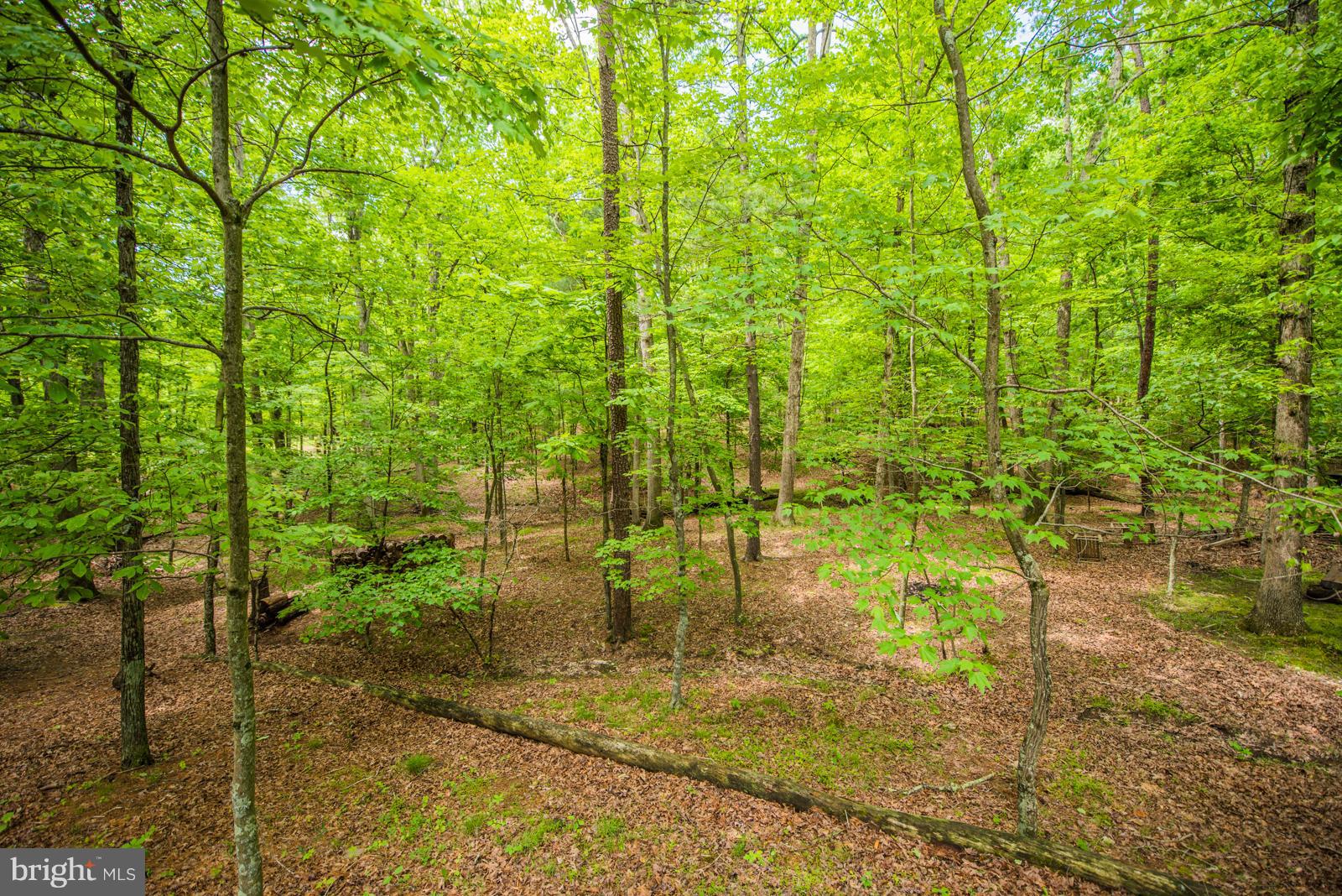 RIVER RIDGE - Residential