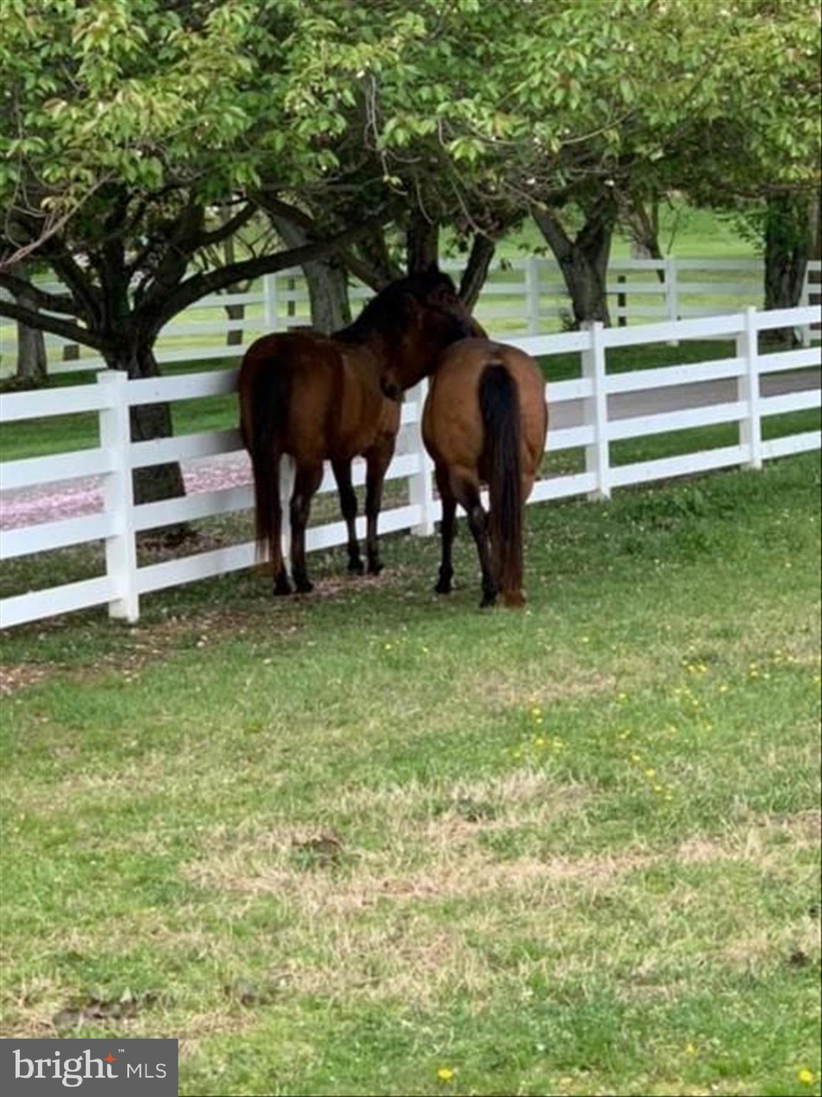 BRETTON WOODS - Residential