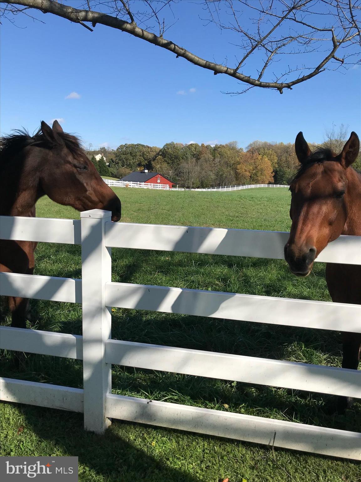 BRETTON WOODS - Residential