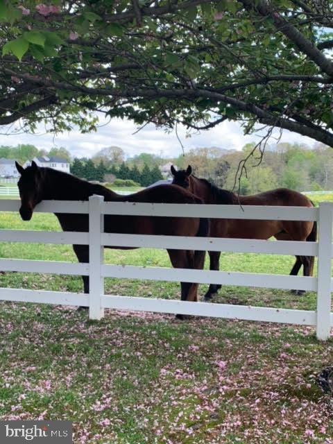 BRETTON WOODS - Residential