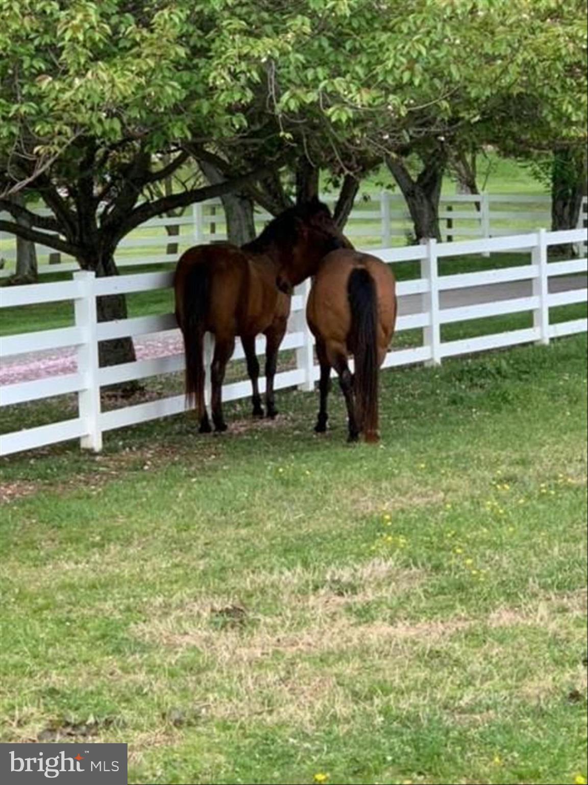BRETTON WOODS - Residential