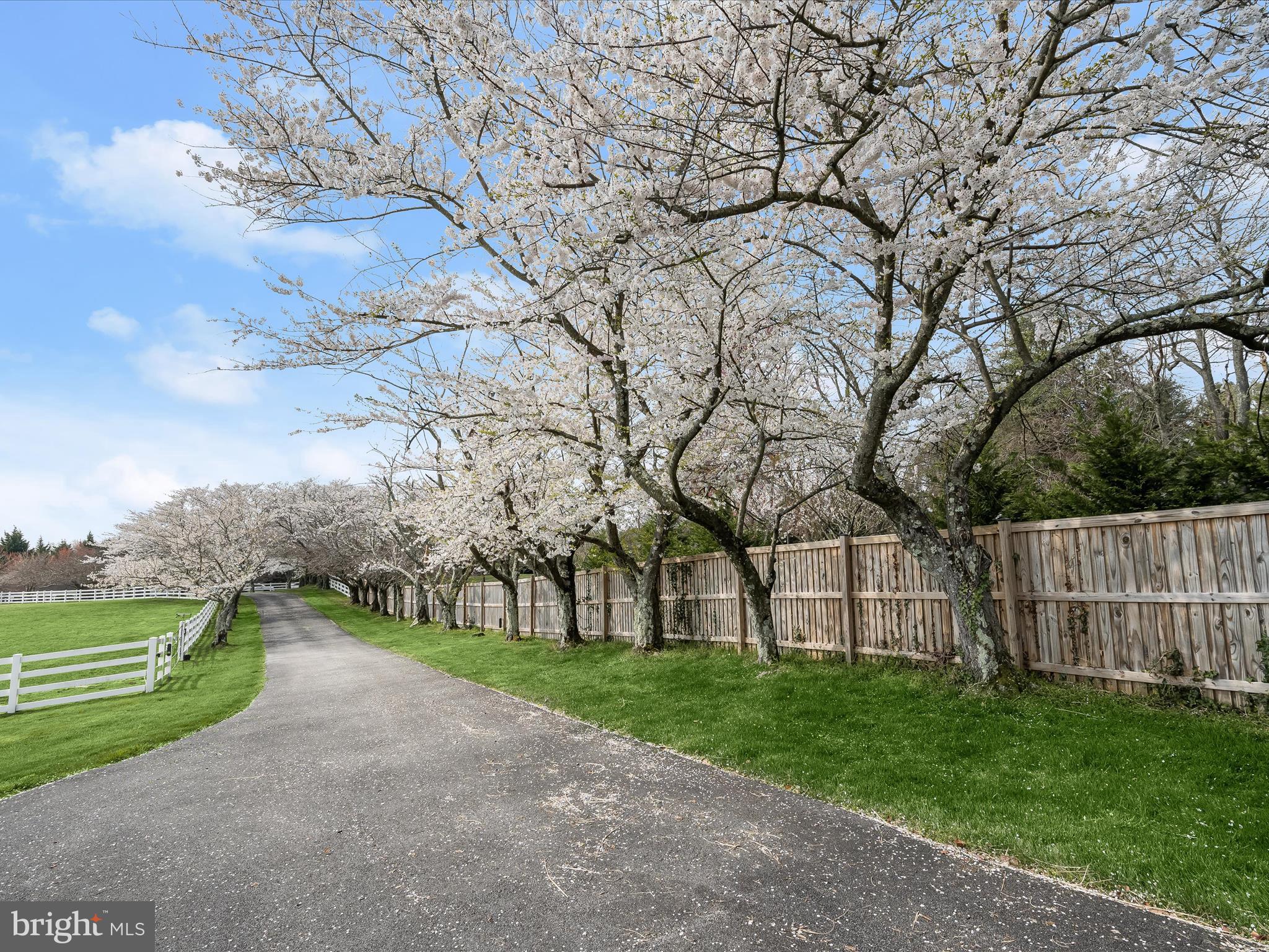 BRETTON WOODS - Residential