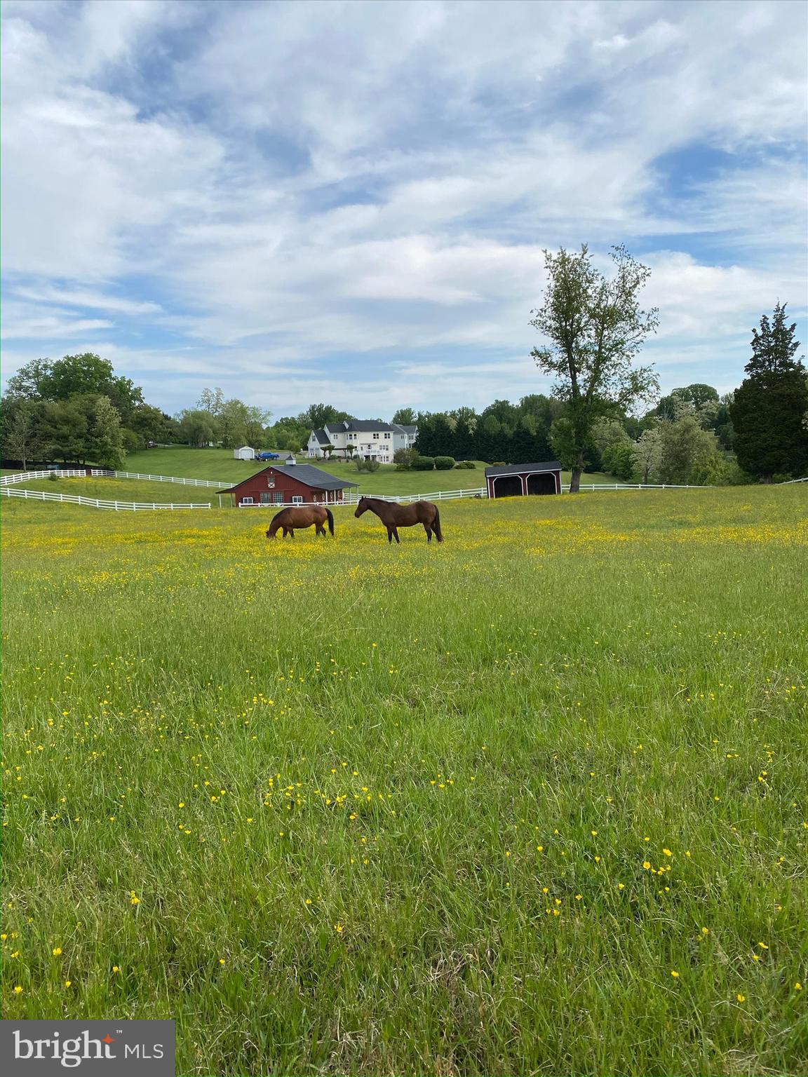 BRETTON WOODS - Residential