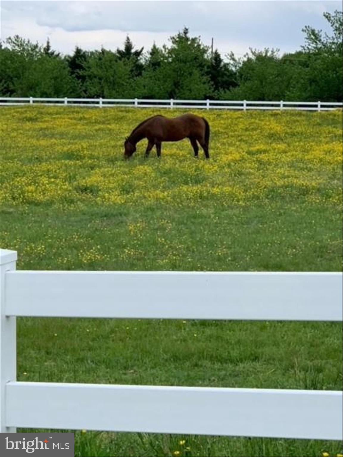 BRETTON WOODS - Residential