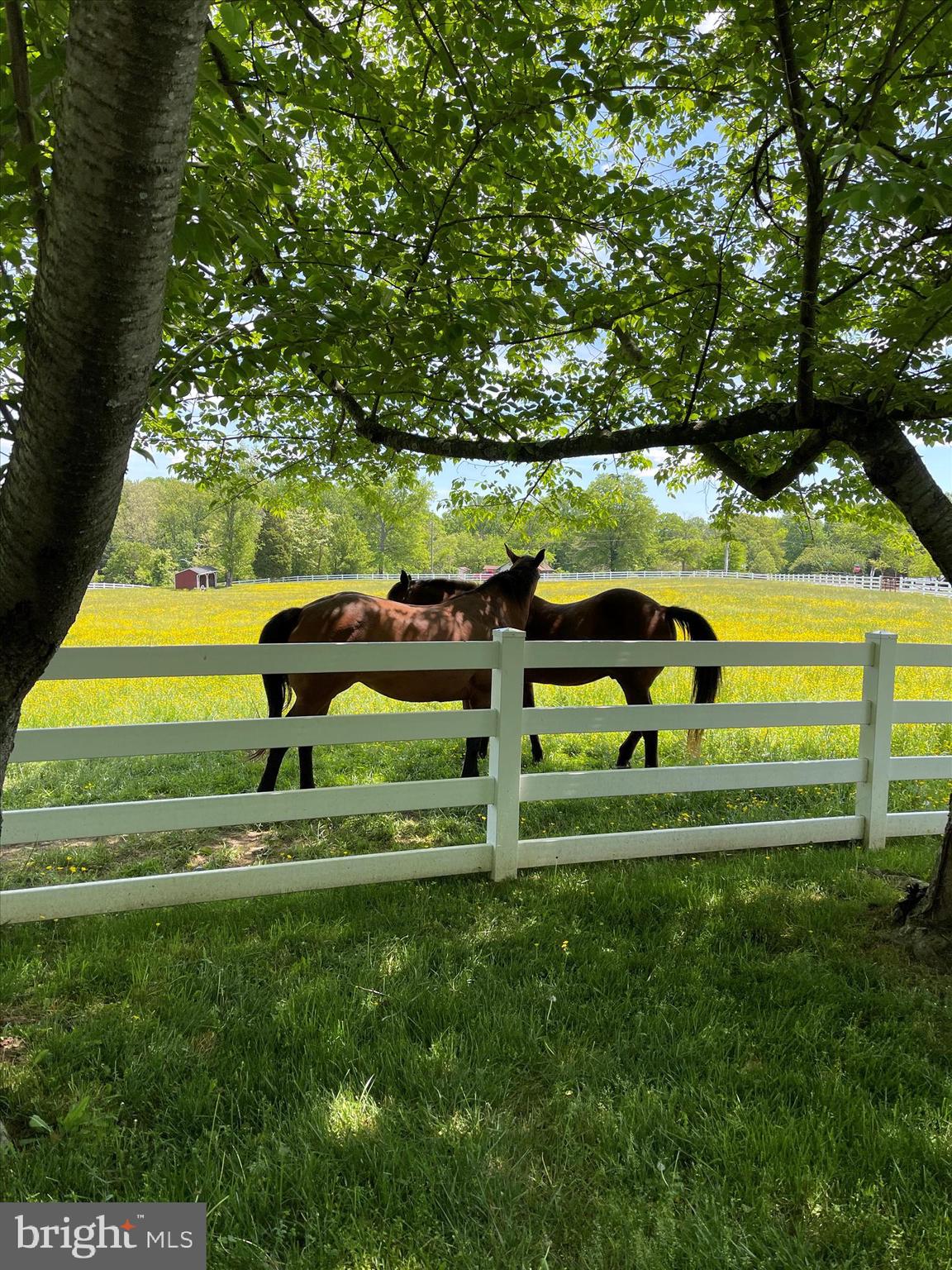 BRETTON WOODS - Residential