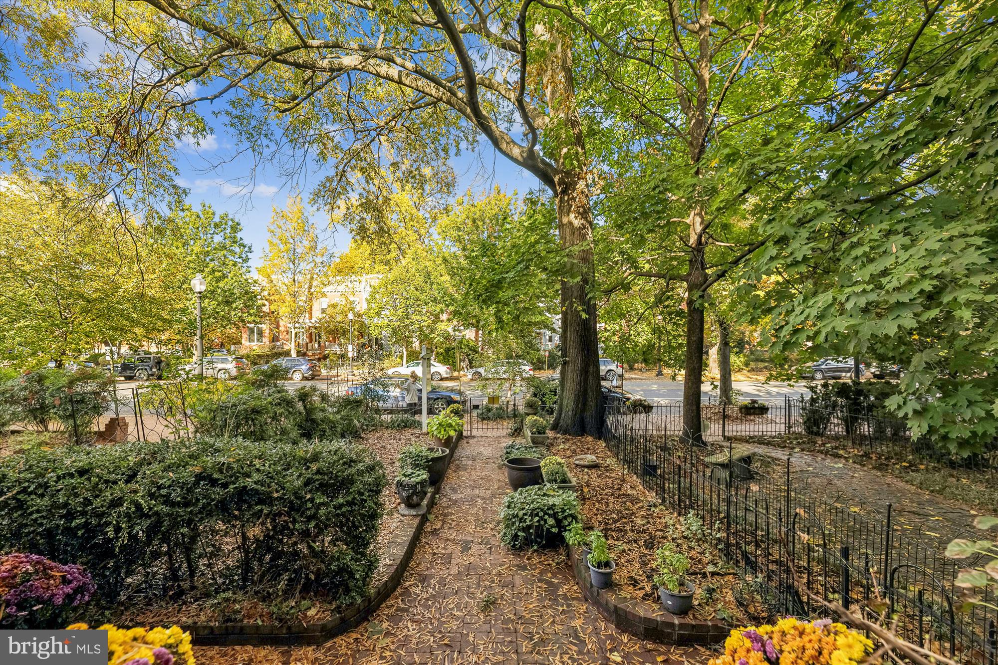 811 MASSACHUSETTS AVENUE NE