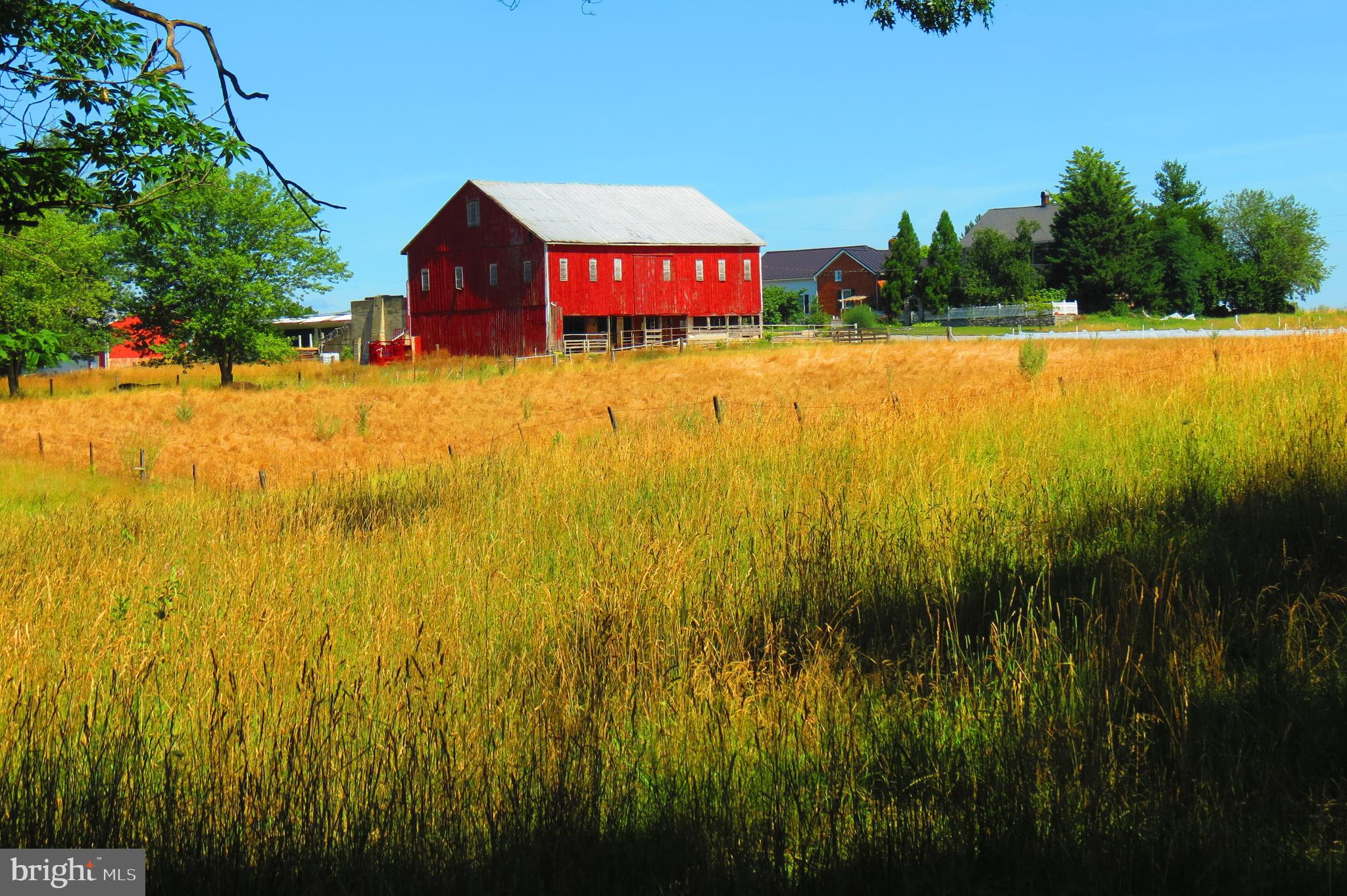 Welcome to and proudly offering for sale; Heritage Graziers – a 124+/- acre Regenerative Ecological Farm. Discover a unique opportunity to own and further develop a farm that transitioned from conventional agriculture to regenerative grazing in early 2023. The farm includes a 200-year-old bank barn, two large metal buildings, and former airplane hangars. Housing options include a 1913 farmhouse with a 2016 attached cottage, perfect for two families. The farm boasts quality soil, primarily Hagerstown with some Duffield. Perimeter fencing features Timeless fencing with a Cyclops 32 joule energizer, ensuring livestock safety. In late 2023, a nearly 700-foot deep livestock well was installed, providing a reliable water source. Cover crops of oats, ryegrass, and clover were planted for soil protection and grazing. New bird species such as the Northern Harrier, Red-Wing Blackbirds, and Meadowlarks have made the farm their home. Tree planting efforts are ongoing, with 40 acres of woodland providing grazing and wildlife shelter. The farm features trails ideal for hiking, camping, hunting, and horseback riding. It is home to a variety of wildlife, including white-tailed deer, raccoon, fox, wild turkey, and more. The infrastructure supports grass-fed beef and sheep farming. Organic certification is possible within two years, as no herbicides or pesticides have been used since Spring 2023. Conveniently located near Exit 17 on Interstate 81, this farm offers a foundation for producing high-quality, nutritious food for the health-conscious community. Embrace a sustainable future with Heritage Graziers. Unlimited potential to unfold with this rare gem!