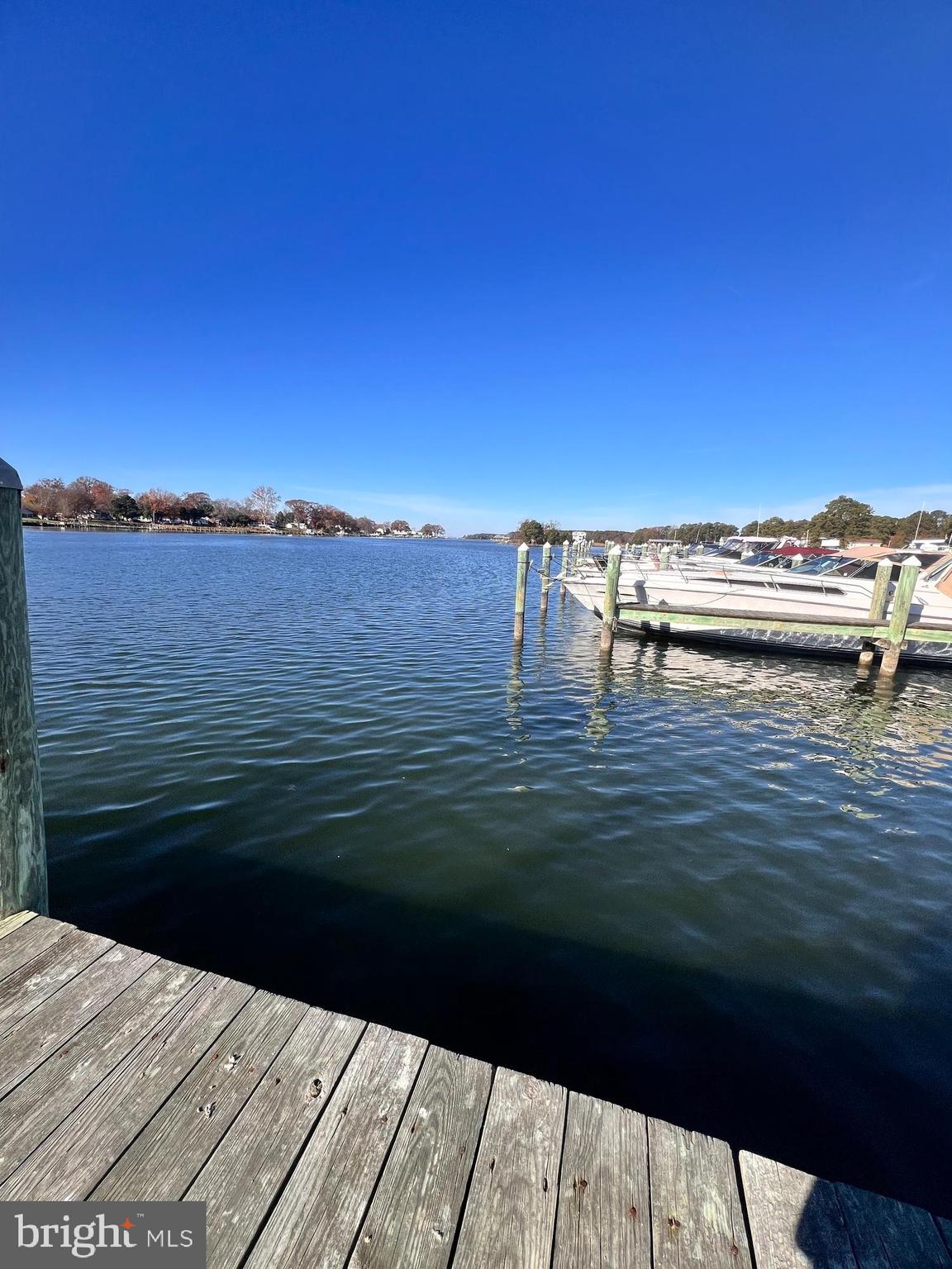 COBB ISLAND - Commercial Sale